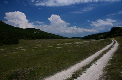 Mangup Fields